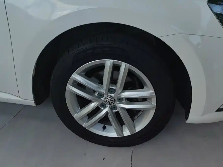 Volkswagen Gran Lavida — миниатюра 6