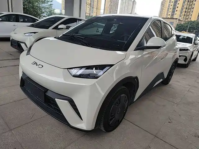 BYD Seagull