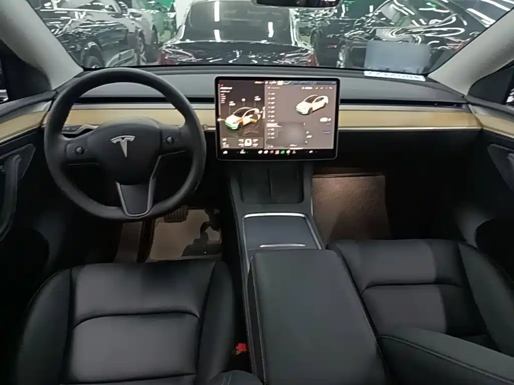 Tesla Model Y — миниатюра 10