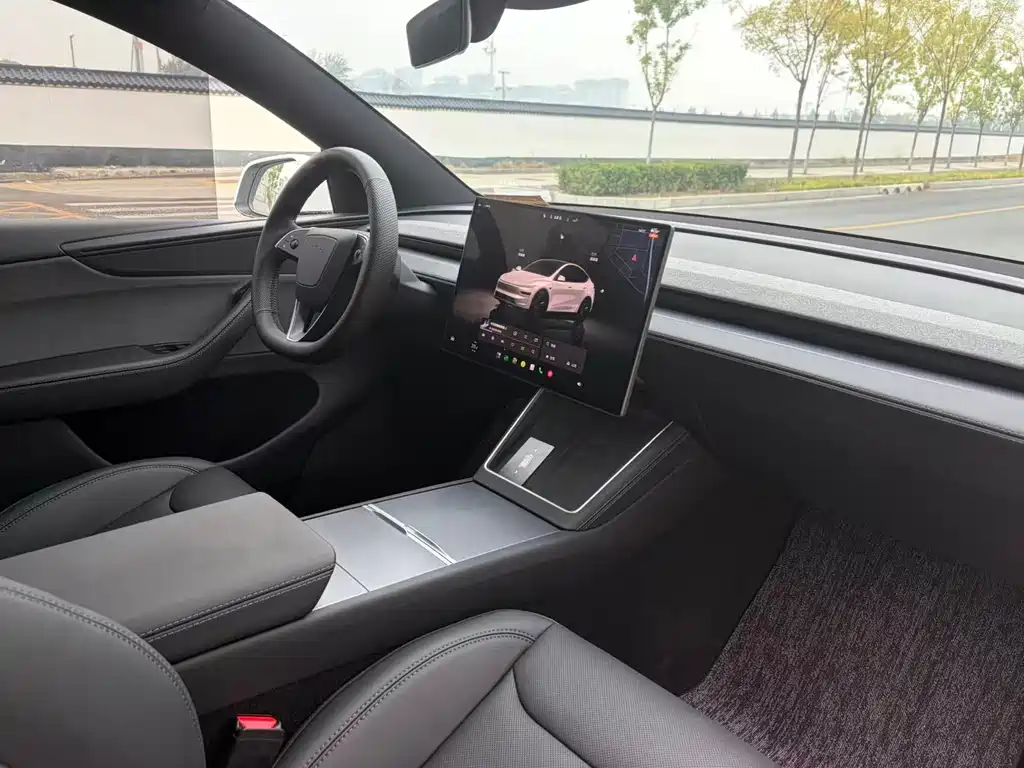 Tesla Model Y — миниатюра 17