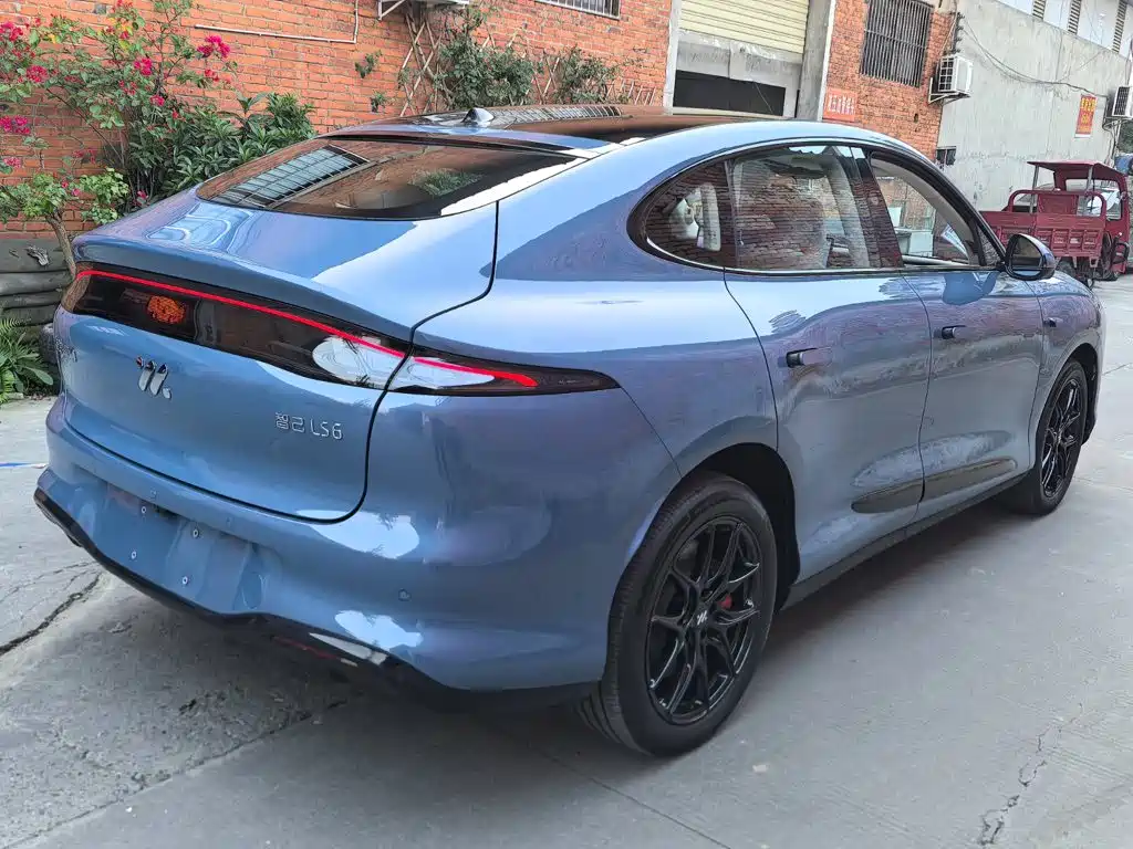 IM IM LS6 — миниатюра 7