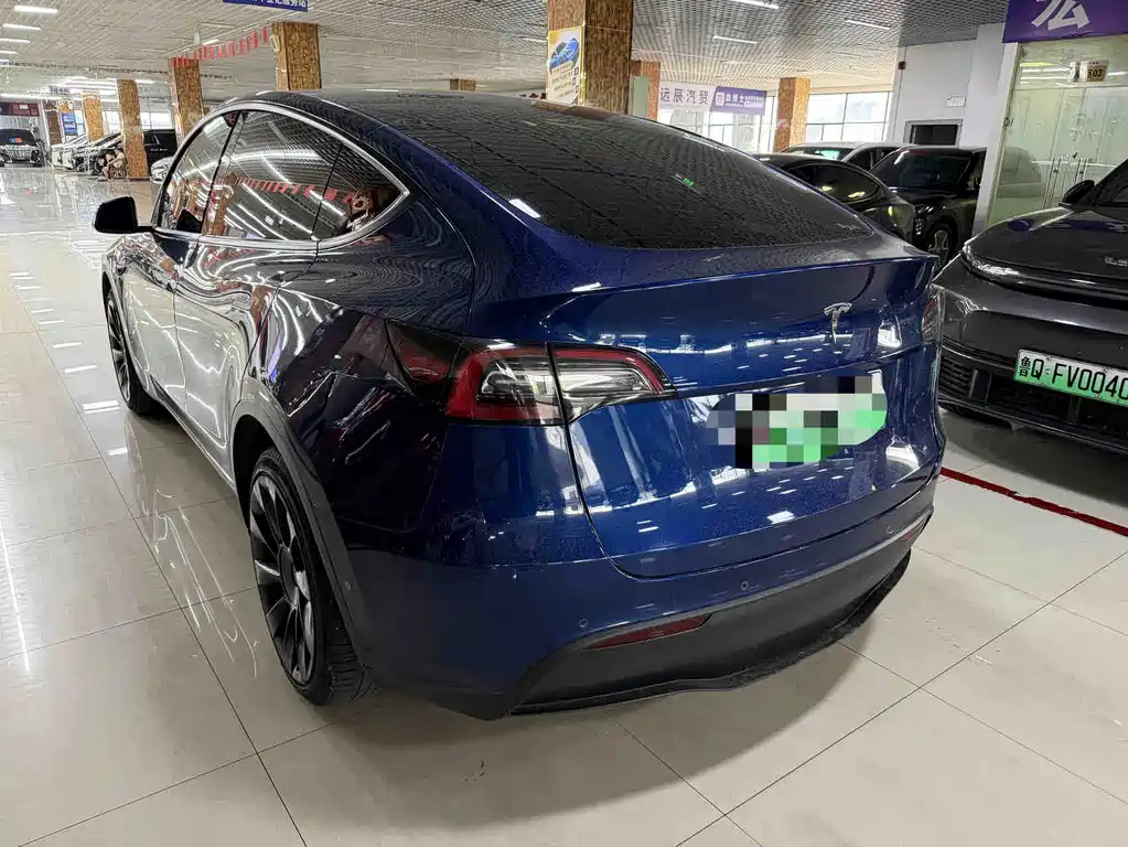Tesla Model Y — миниатюра 7