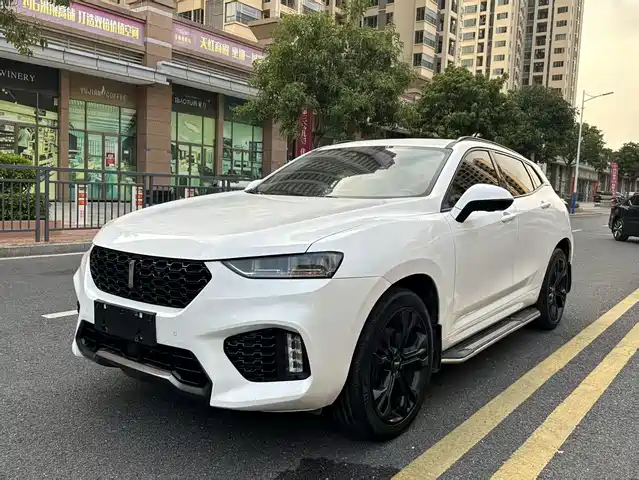 2019 Wey VV7