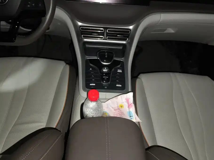 BYD Pro New Energy — миниатюра 16