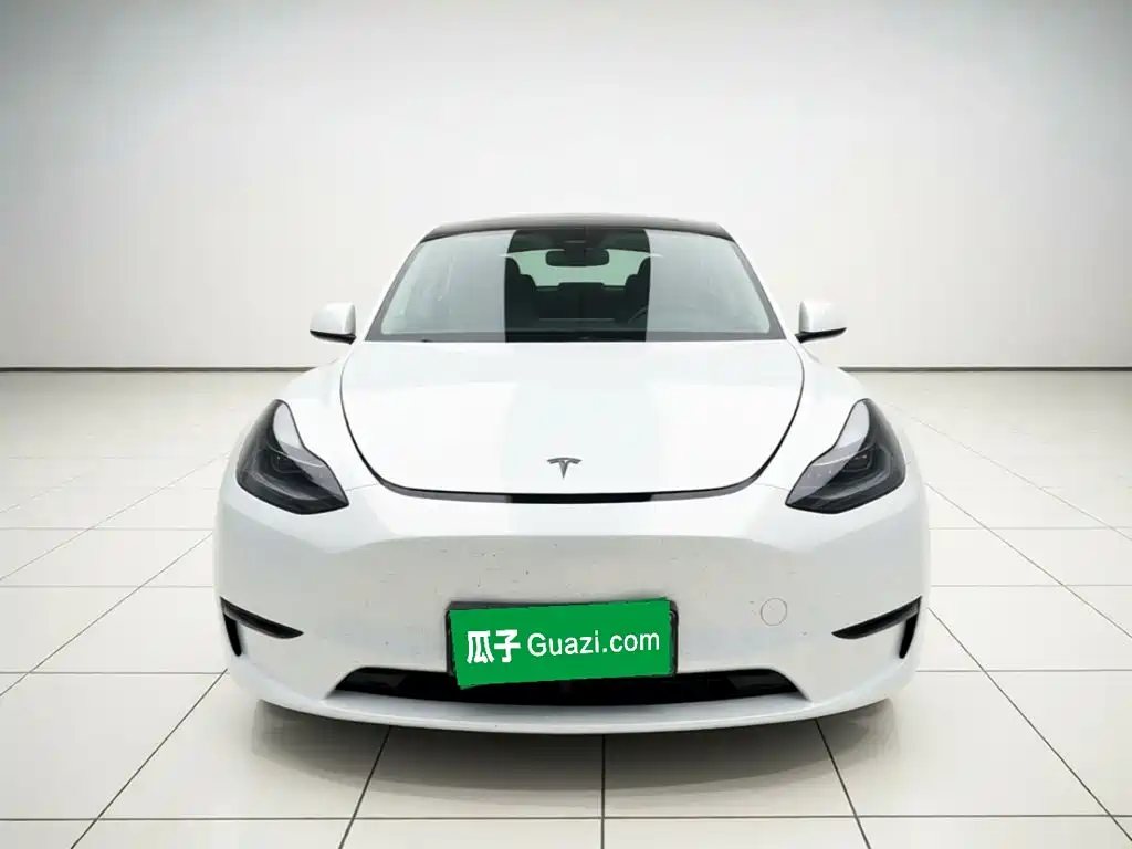 Tesla Model Y — миниатюра 2
