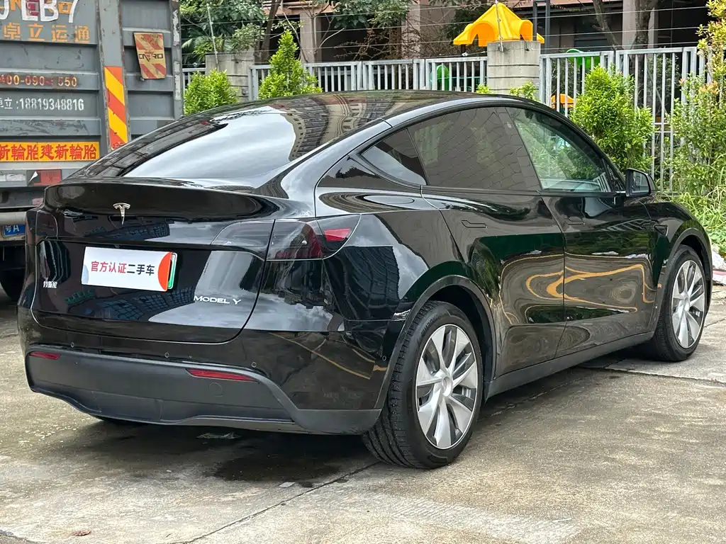 Tesla Model Y — миниатюра 9