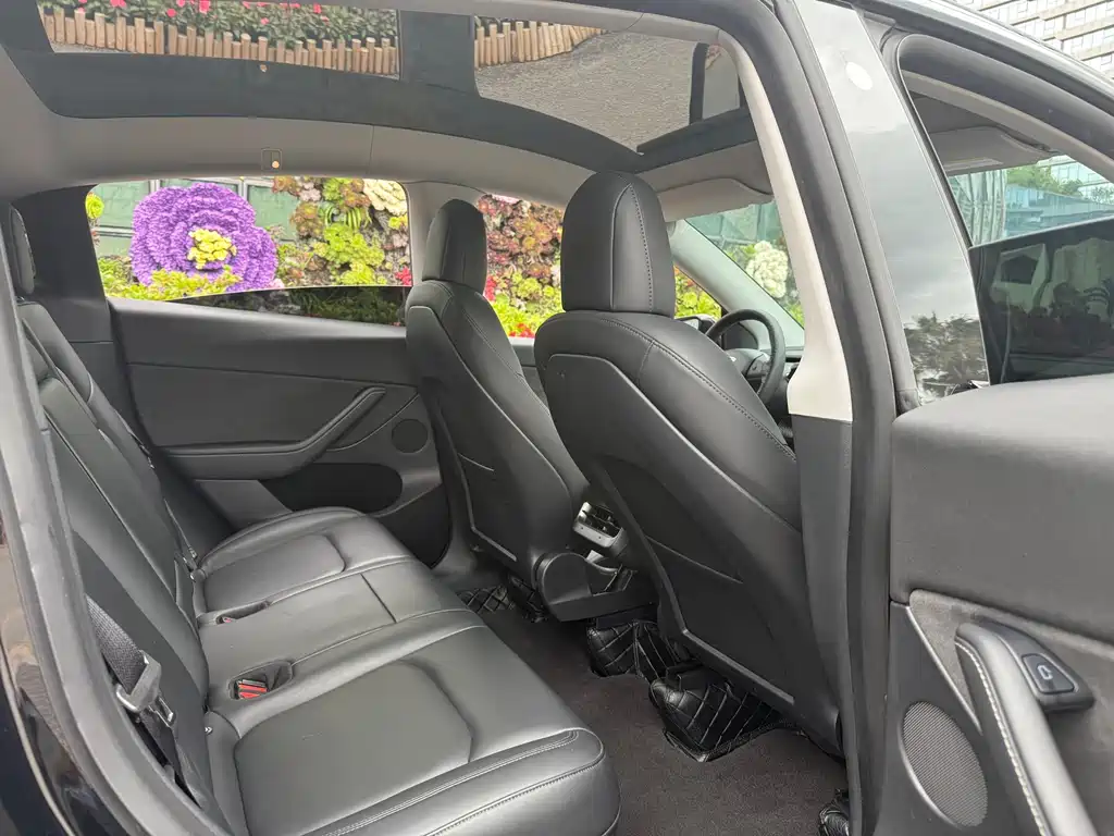 Tesla Model Y — миниатюра 10