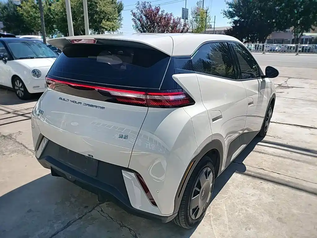BYD Seagull 2024 305km