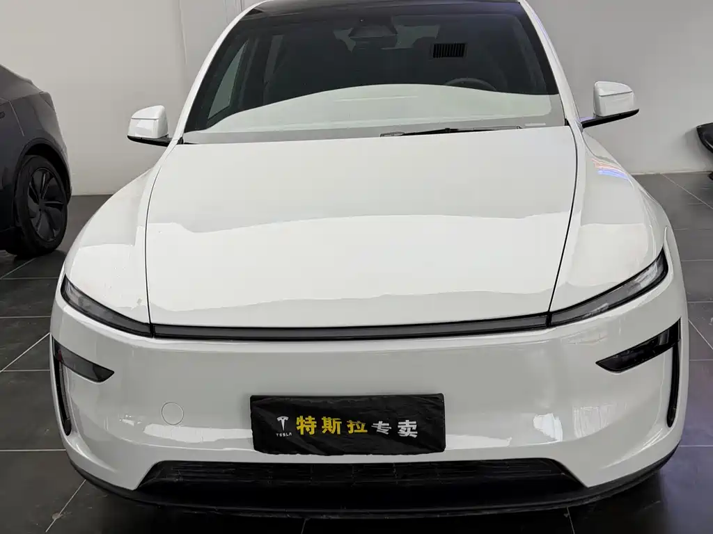 Tesla Model Y L