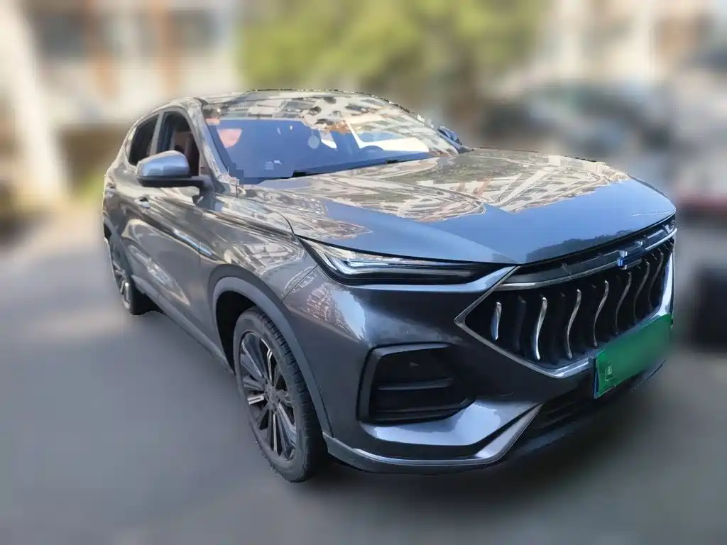 Oshan Oushang X5 — миниатюра 3
