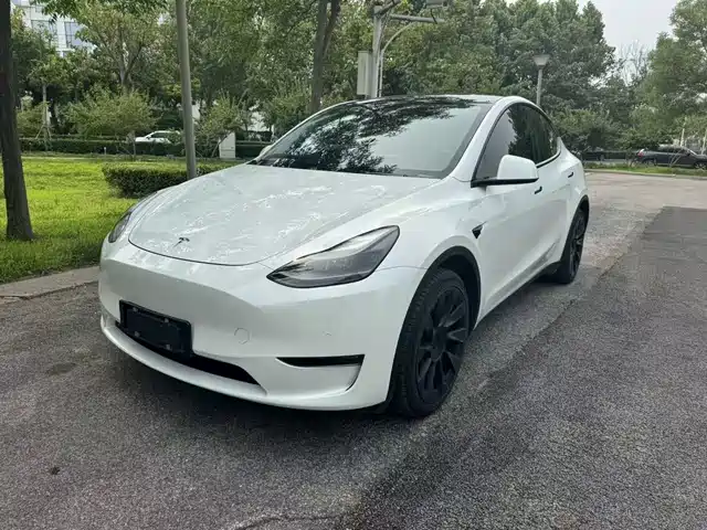 Tesla Model