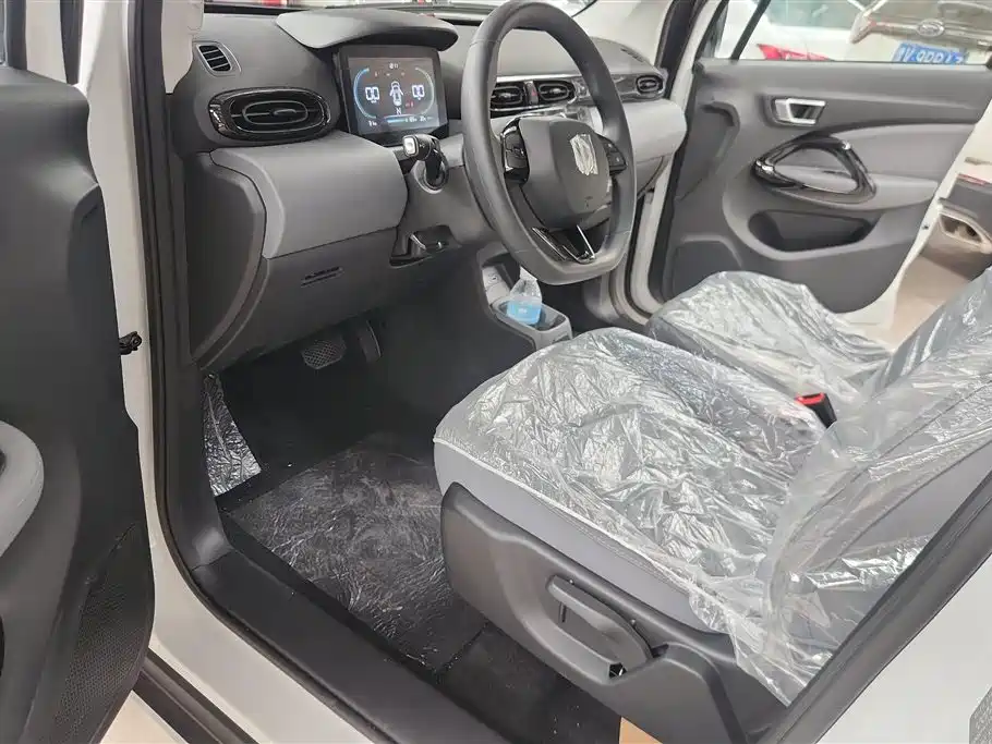 Leapmotor T03 2025 310