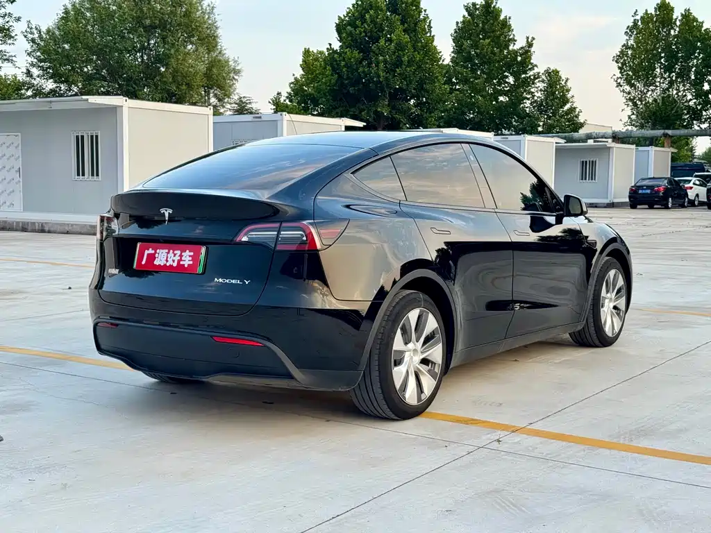 Tesla Model Y — миниатюра 6