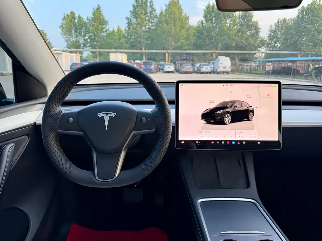 Tesla Model Y — миниатюра 15