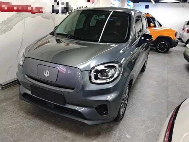 2021 Leapmotor T03