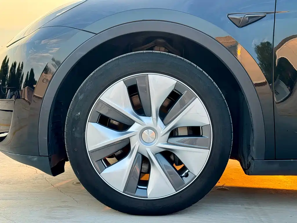 Tesla Model Y — миниатюра 24