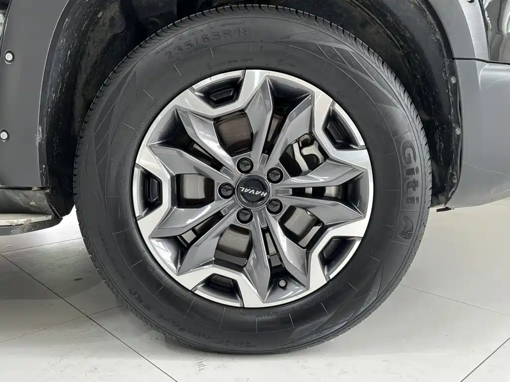 Haval Big Dog — миниатюра 14