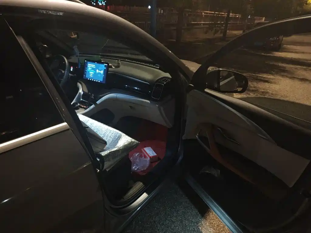 BYD Pro New Energy — миниатюра 19