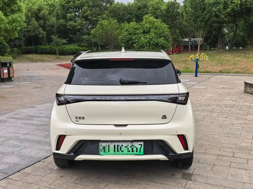 BYD Dolphin 2024 420km Fashion