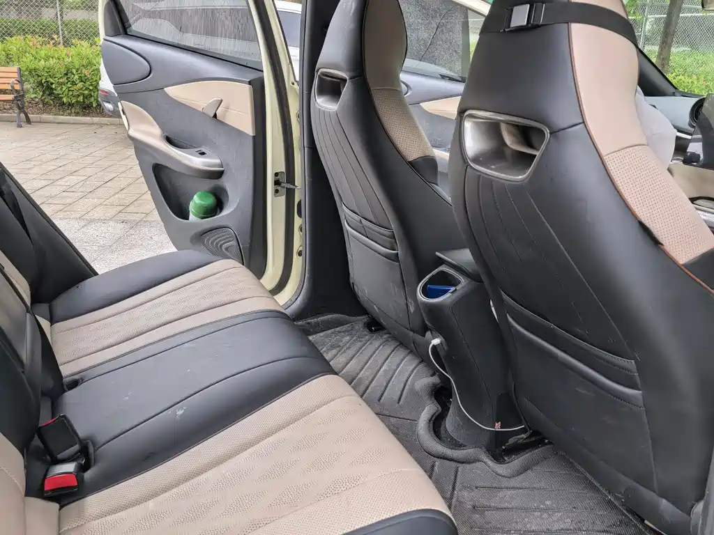 BYD Dolphin 2024 420km Fashion