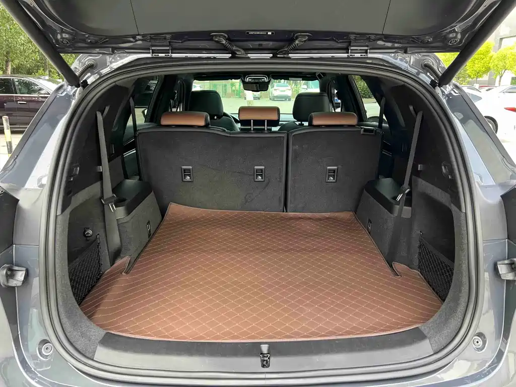 BYD Tang New Energy — миниатюра 7