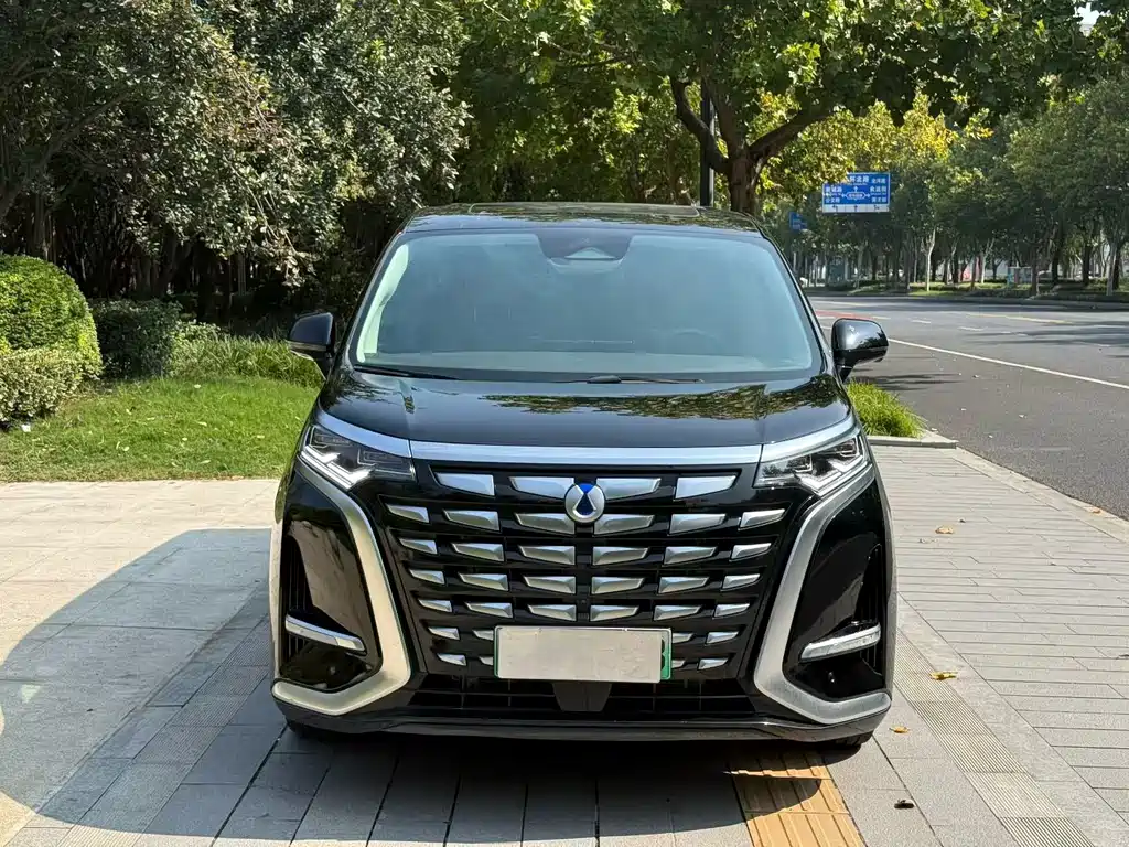 Denza Denza D9 — миниатюра 3
