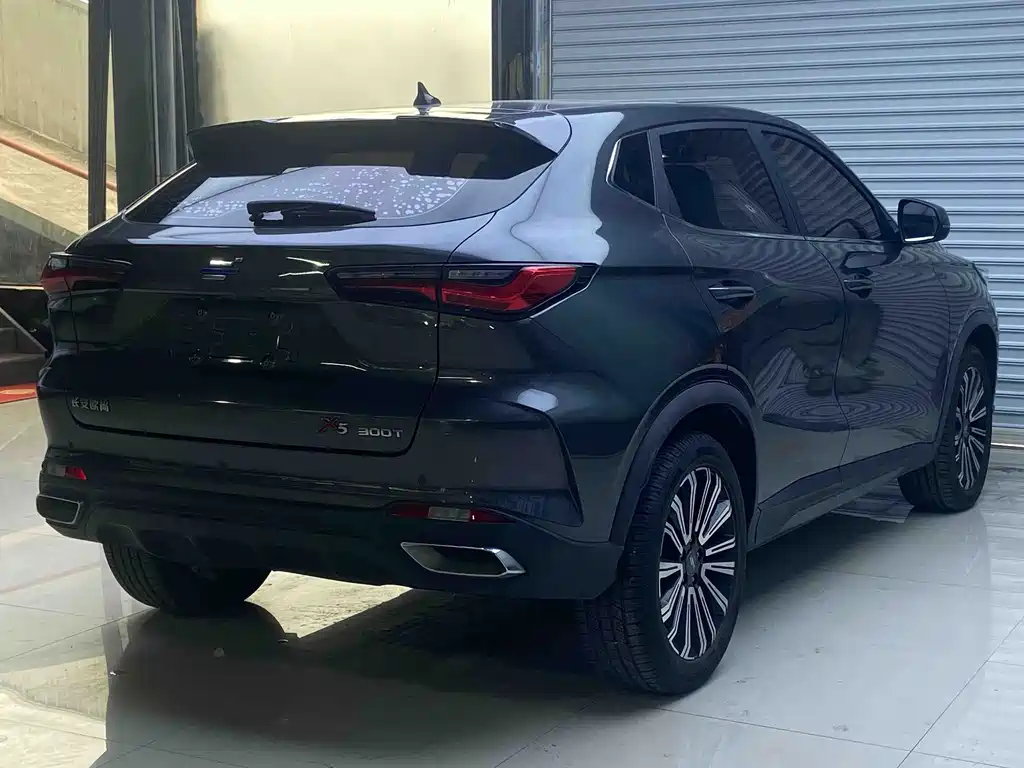 Oshan Oushang X5 — миниатюра 9