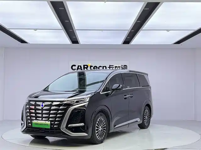 2024 Denza D9