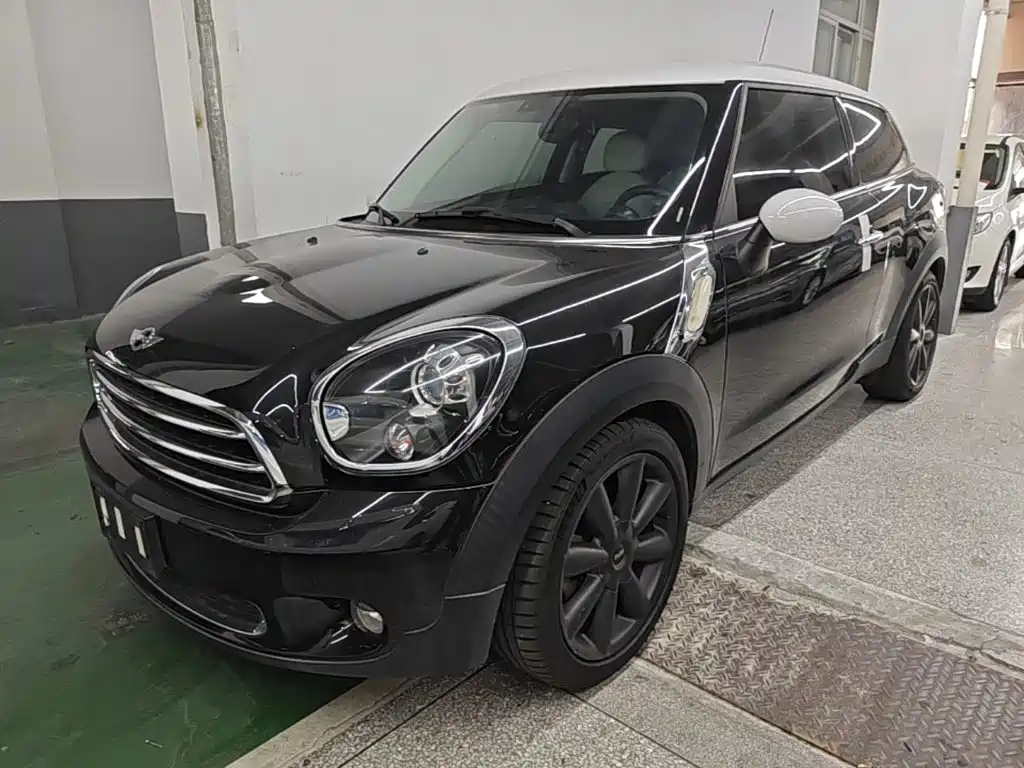 Mini Paceman