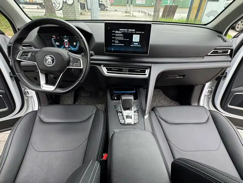 BYD Pro — миниатюра 16