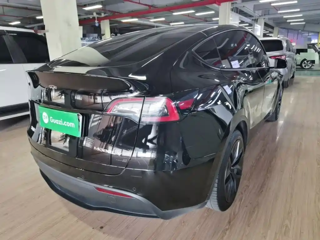 Tesla Model Y — миниатюра 7