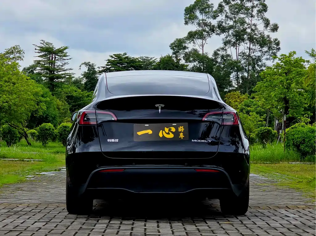 Tesla Model Y — миниатюра 8