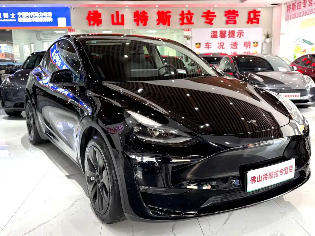 Tesla Model Y — миниатюра 2