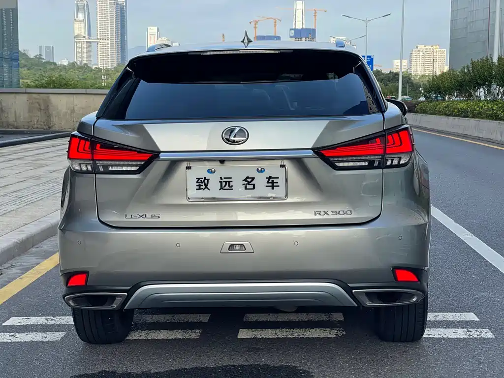 Lexus RX 2020 300 Elegant VI