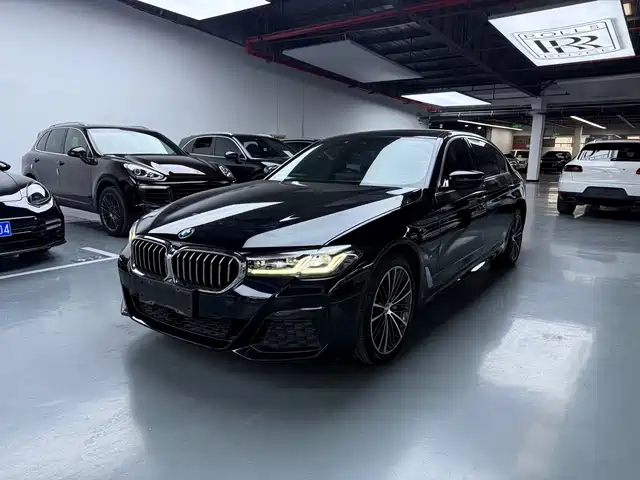 BMW 5 SERIES