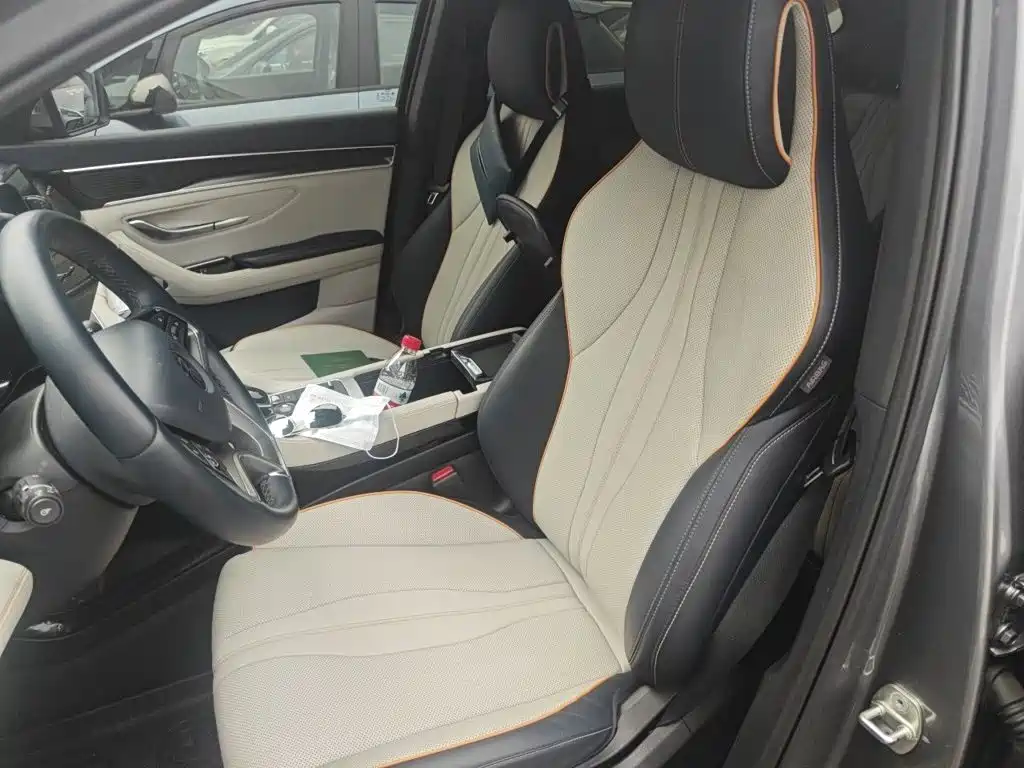 BYD PLUS New Energy — миниатюра 8