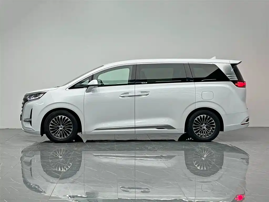 Denza D9 2024 DM-i 1050 Premium