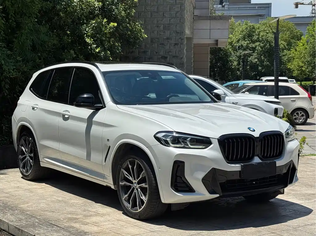 BMW X3 — миниатюра 3