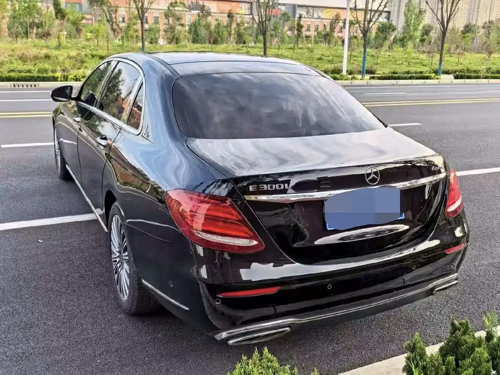 Mercedes-Benz E-Class E 2019 E 300 L Luxury