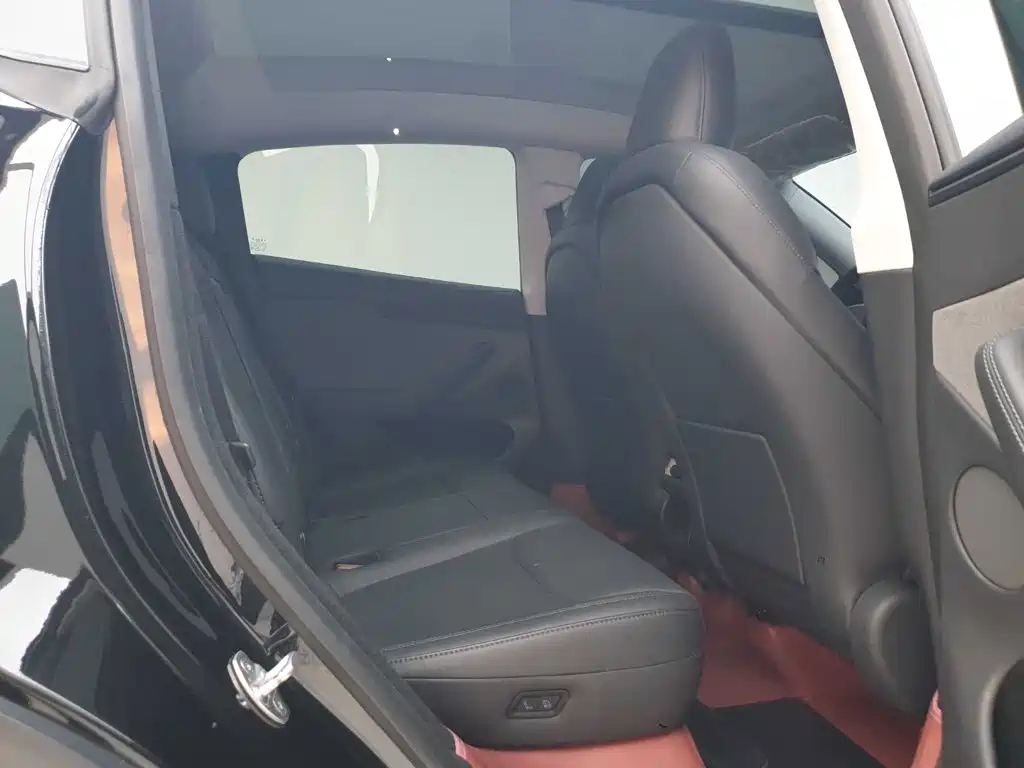 Tesla Model Y — миниатюра 19