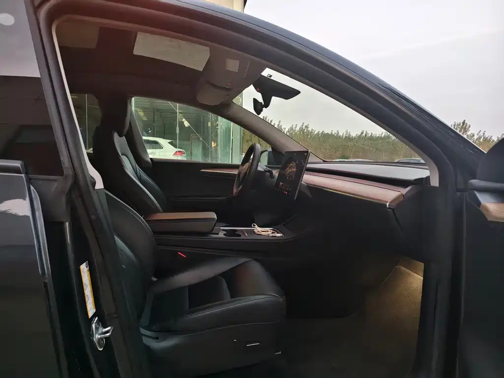 Tesla Model Y — миниатюра 5