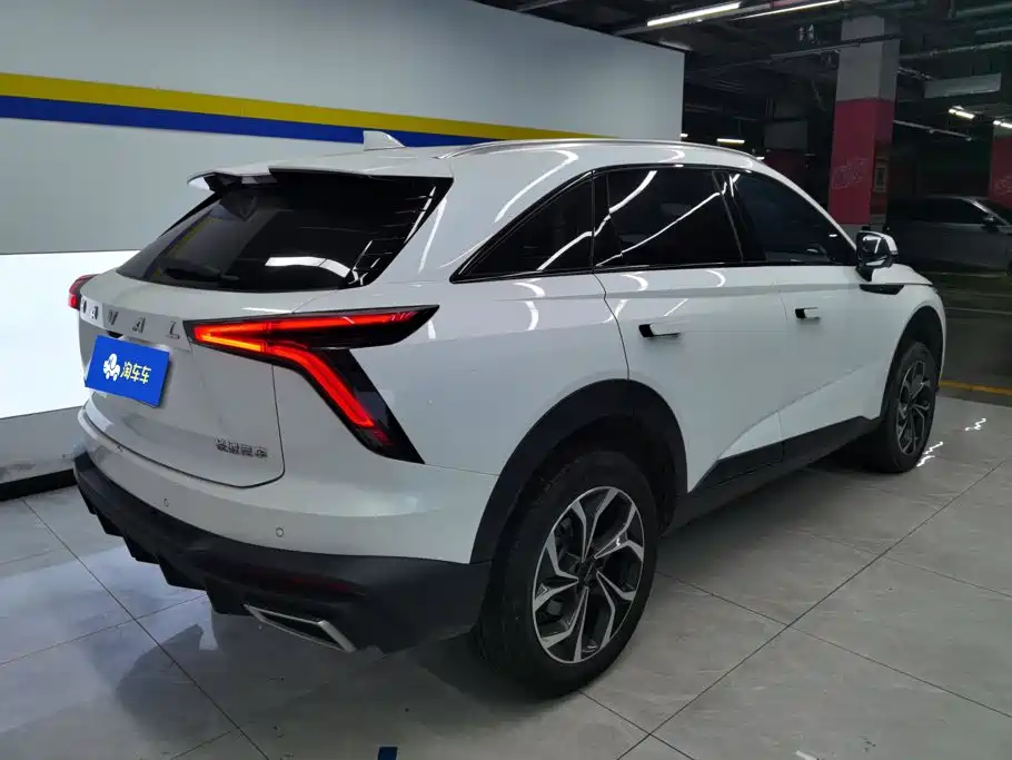 Haval Shenshou — миниатюра 3