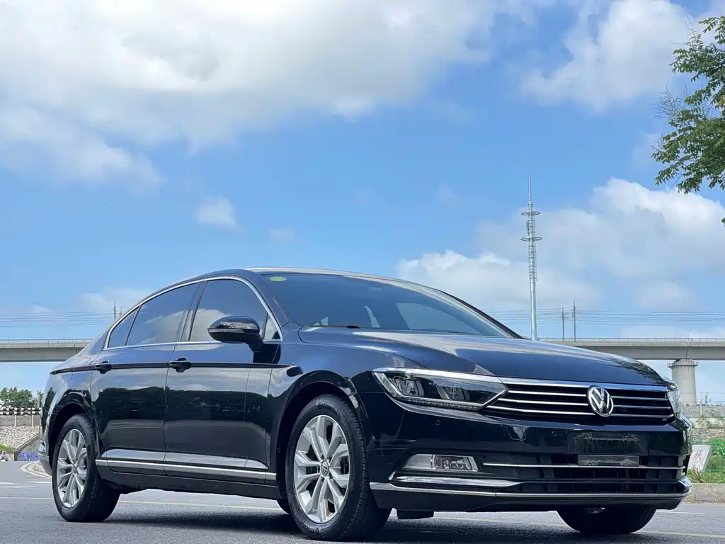 Volkswagen Magotan 2019 330TSI DSG Luxury VI