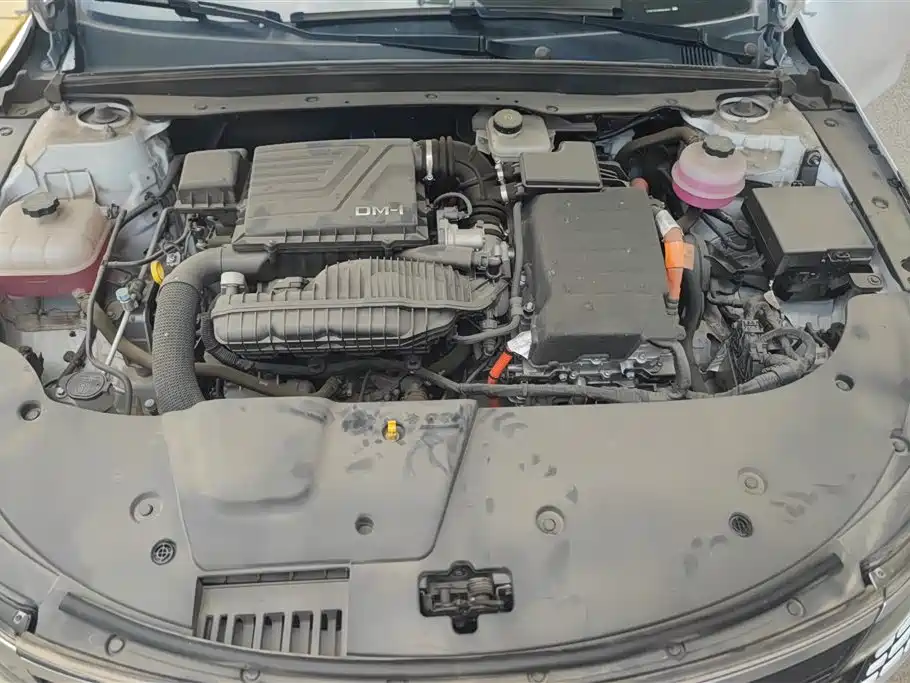 BYD Destroyer 05 2023 Champion DM-i 55KM Luxury