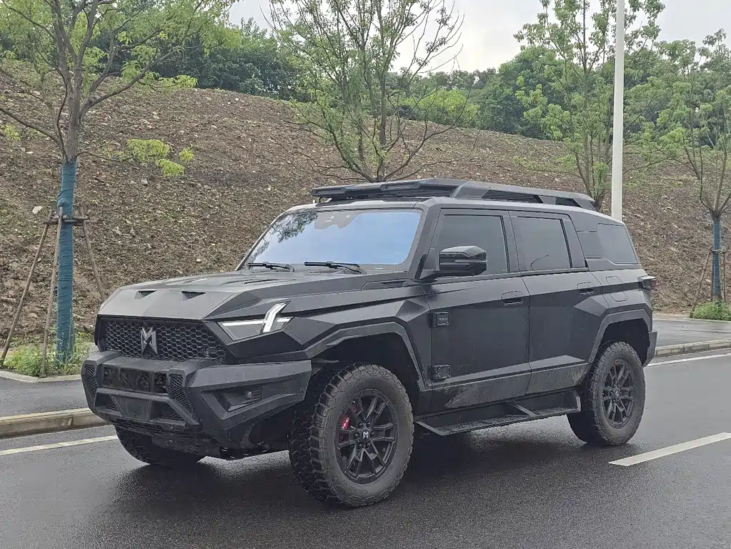 Mengshi Mengshi 917