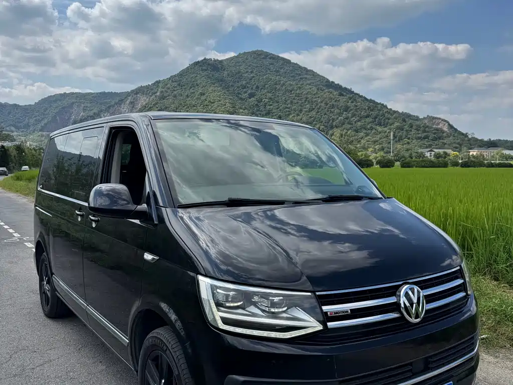 Volkswagen Multivan — миниатюра 2