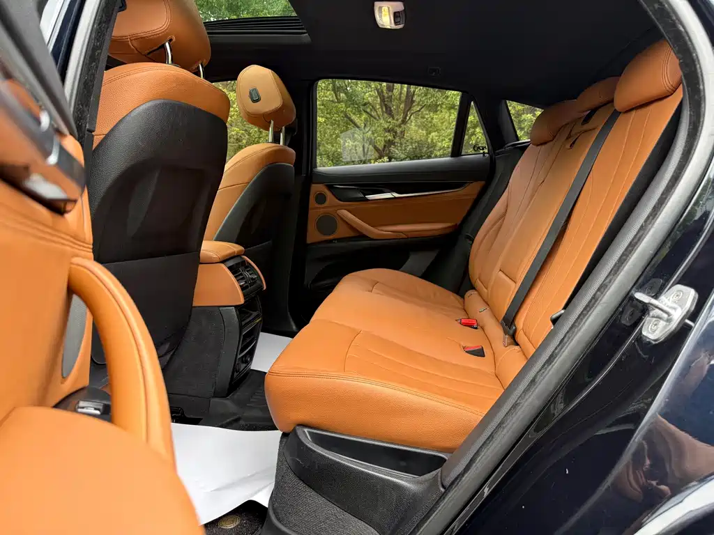 BMW X6 — миниатюра 22