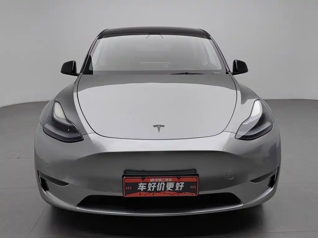Tesla Model Y — миниатюра 3