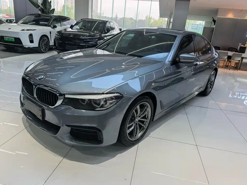 BMW 5 Series (Import) 2019