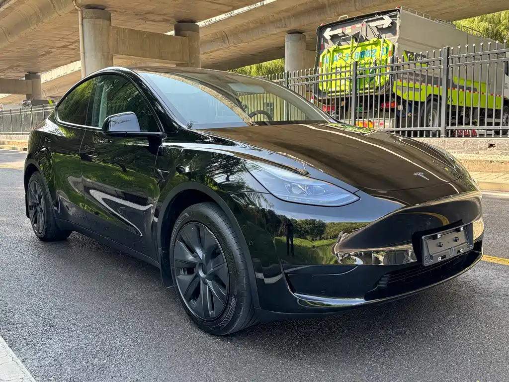 Tesla Model Y — миниатюра 3